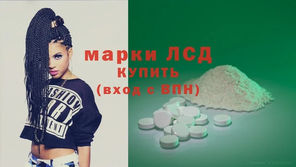 мяу мяу мука Магас