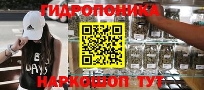 шишки Гусиноозёрск