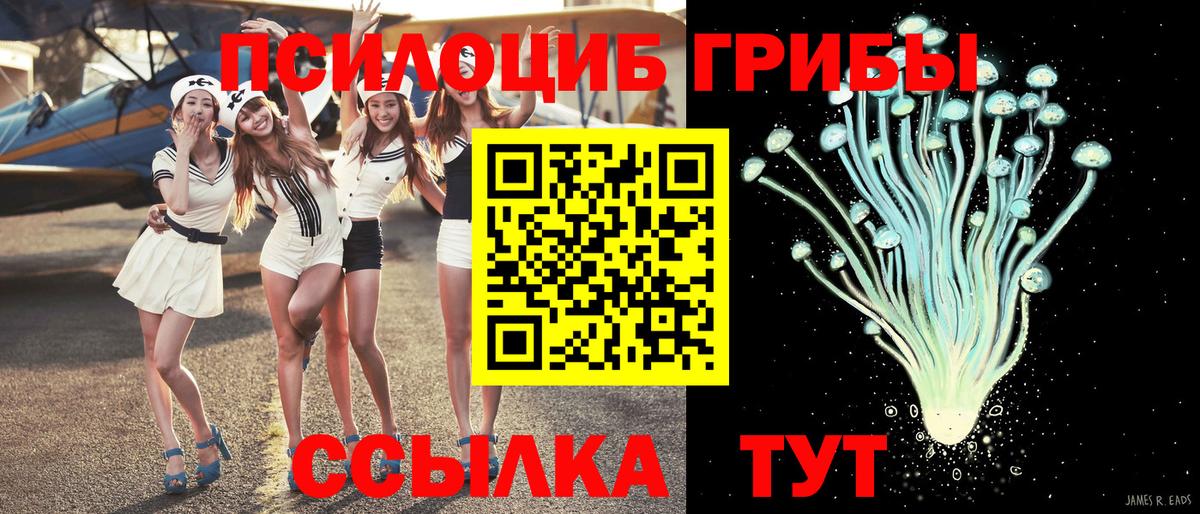 Галлюциногенные грибы мицелий Магнитогорск