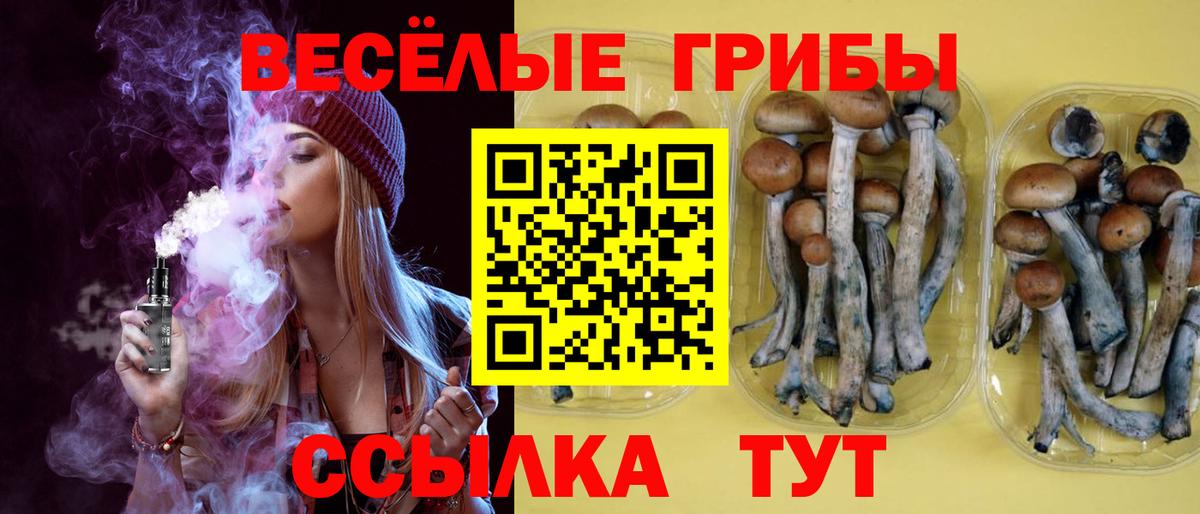 Галлюциногенные грибы Cubensis  Вход с VPN  Галлюциногенные грибы Cubensis  даркнет сайт  Магнитогорск 